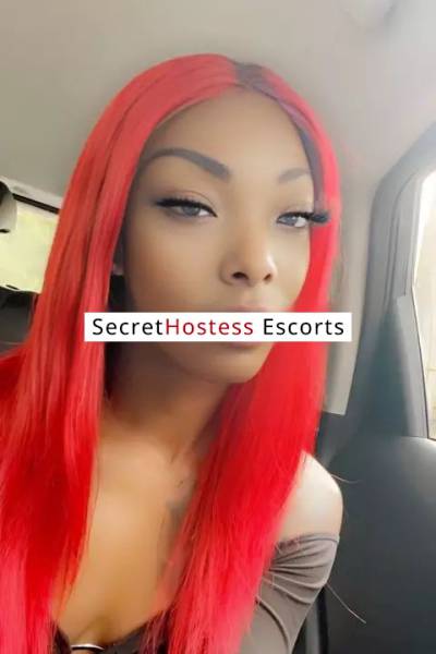 LusciousD 27Yrs Old Escort 52KG 162CM Tall Boston MA Image - 1