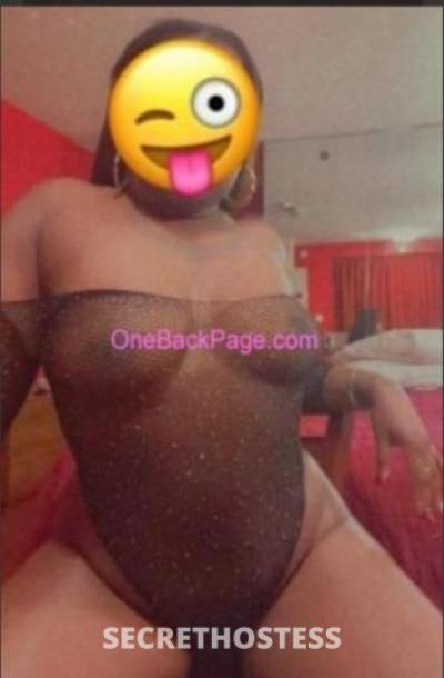 27Yrs Old Escort Jacksonville FL Image - 2