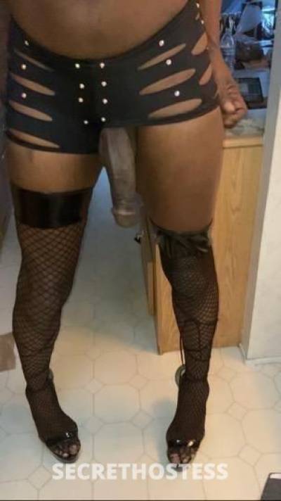 37Yrs Old Escort Los Angeles CA Image - 1