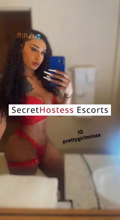 Amina Mina 23Yrs Old Escort Size 24 62KG 167CM Tall Tacoma WA Image - 2