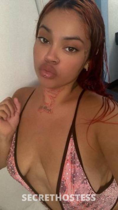 Daisy 22Yrs Old Escort Sacramento CA Image - 0