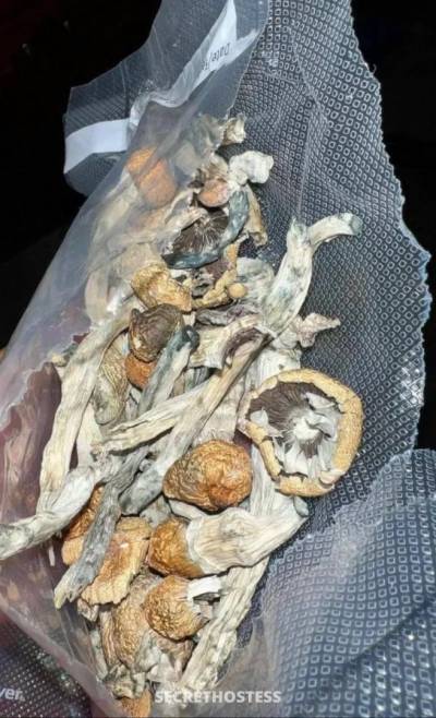 26 year old Escort in Cookeville TN xxxx-xxx-xxx Hookup