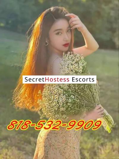 Hianna 23Yrs Old Escort 45KG 154CM Tall San Diego CA Image - 15