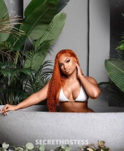 25 year old Escort in San Diego CA Professional Sweetheart