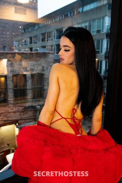 Paola 23Yrs Old Escort Louisville KY Image - 1