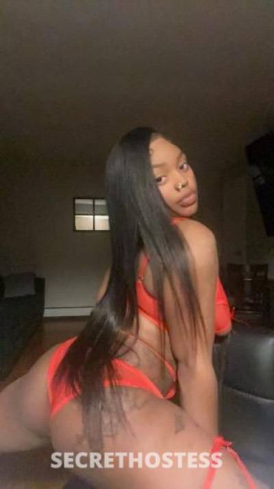 Sofia 19Yrs Old Escort Rochester NY Image - 3