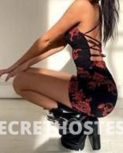Taylor 36Yrs Old Escort Size 10 Townsville Image - 1