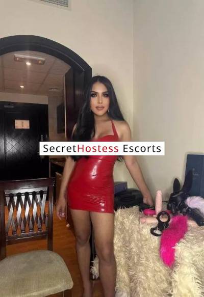 28Yrs Old Escort 59KG 167CM Tall Istanbul Image - 11