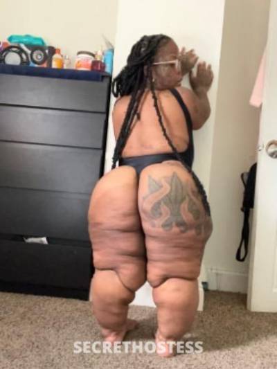 31Yrs Old Escort Baton Rouge LA Image - 2