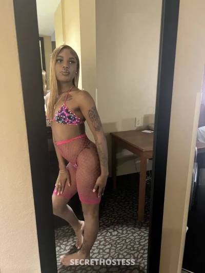 36Yrs Old Escort Killeen TX Image - 3