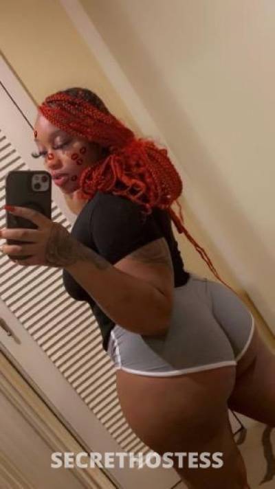 Bam 25Yrs Old Escort Shreveport LA Image - 5