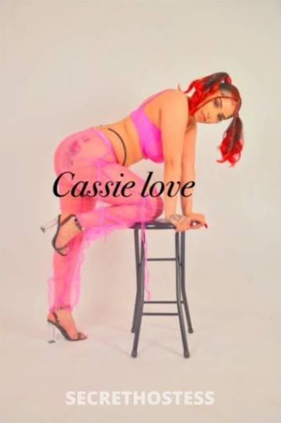 Cassie 25Yrs Old Escort Central Jersey NJ Image - 0