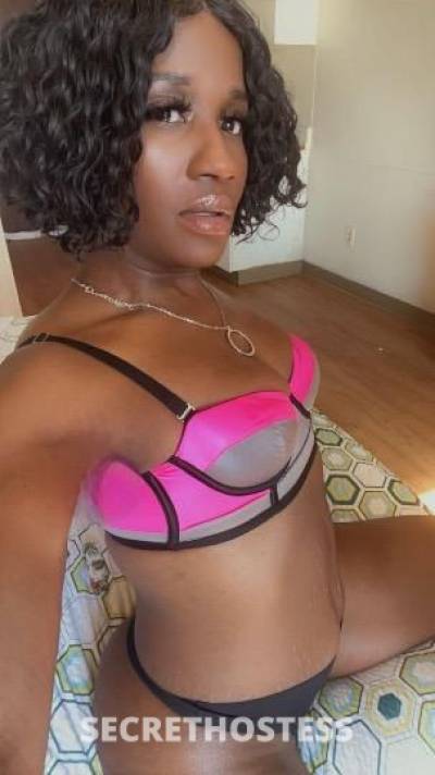 Chocolate 43Yrs Old Escort Saint Louis MO Image - 7