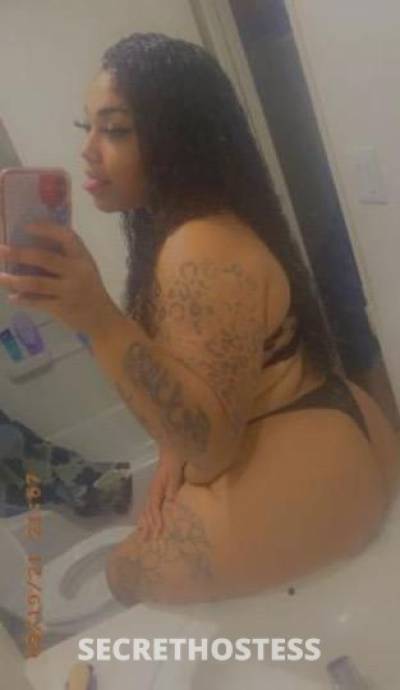 Gia 27Yrs Old Escort Long Beach CA Image - 4