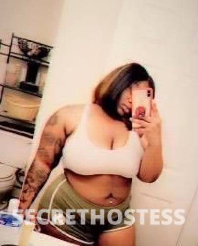 K 26Yrs Old Escort Miami FL Image - 6