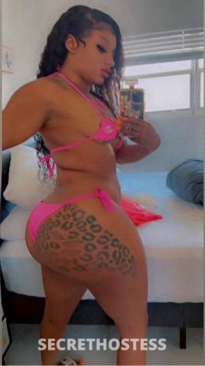 Kandis 21Yrs Old Escort North Jersey NJ Image - 5