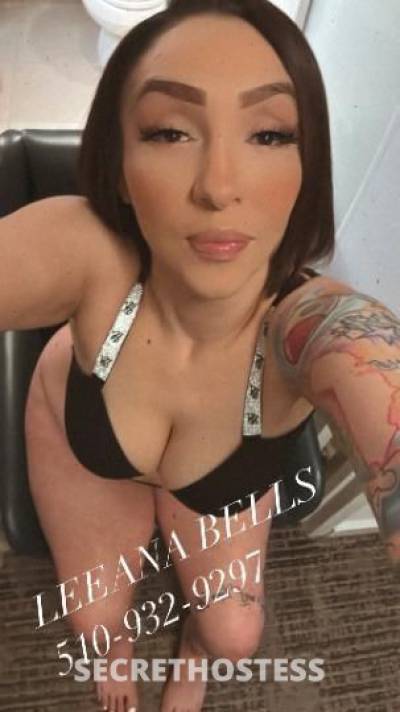 29 year old Latino Escort in San Mateo CA Incalls now big booty latina hablo espanol