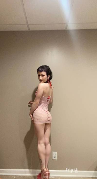 Lavender 20Yrs Old Escort Size 6 Kansas City MO Image - 13