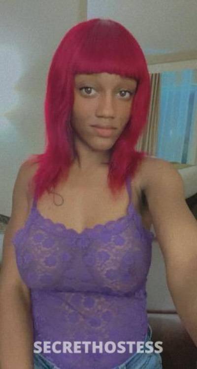 Lexxi 22Yrs Old Escort Killeen TX Image - 3