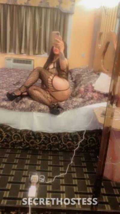 Mirian 27Yrs Old Escort North Jersey NJ Image - 2