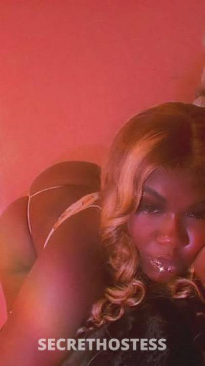 Mocha 19Yrs Old Escort Bakersfield CA Image - 2