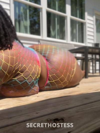 Ms.Milk 24Yrs Old Escort Raleigh NC Image - 1