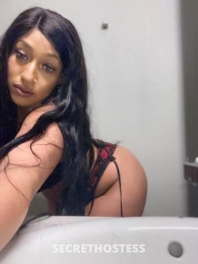 HORNY and WET.. GOOGLE ME FOR REVIEWS MYA LIKE HONEY in Minneapolis MN