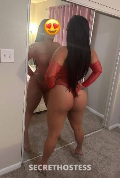 Susy 25Yrs Old Escort College Station TX Image - 3