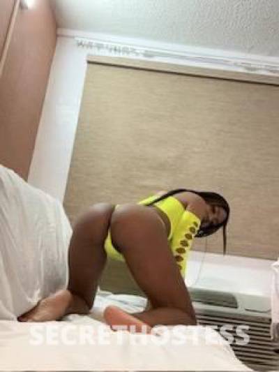 YELLOW💛 29Yrs Old Escort Oakland CA Image - 2