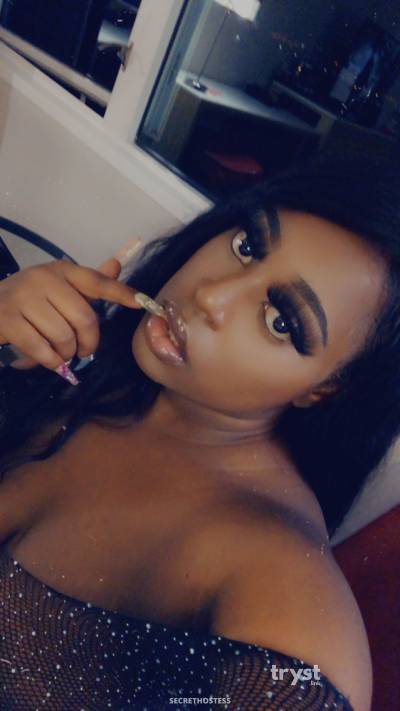 20 year old American Escort in Fresno CA Miracle - Chocolate Playmate