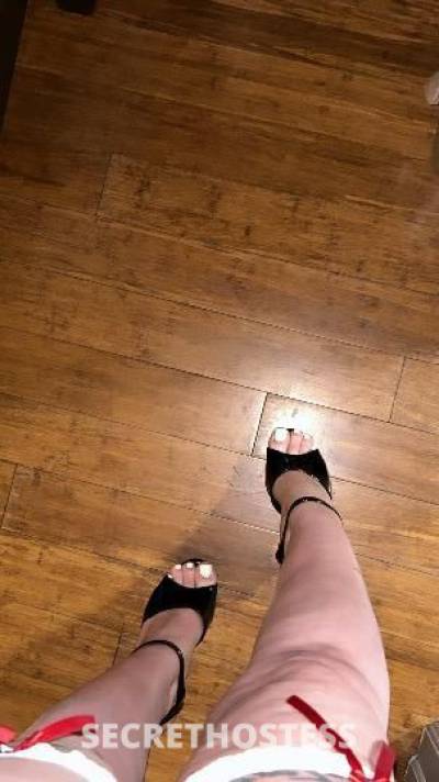 21 year old Escort in North Bay CA Limited Time Only ! Curvy Blue Eyed Cutie With A Booty