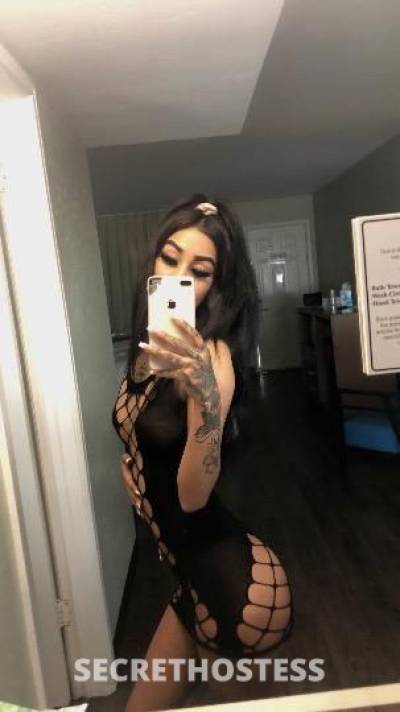 22 Year Old Hispanic Escort Los Angeles CA - Image 2