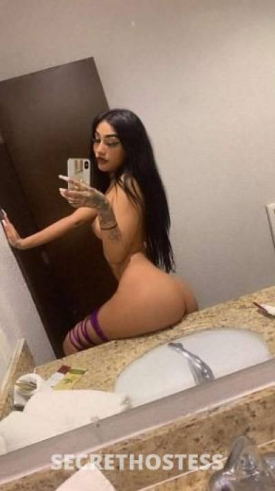 22 Year Old Hispanic Escort Los Angeles CA - Image 5