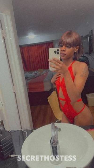 23 year old Escort in Memphis TN incalls come Have some fun