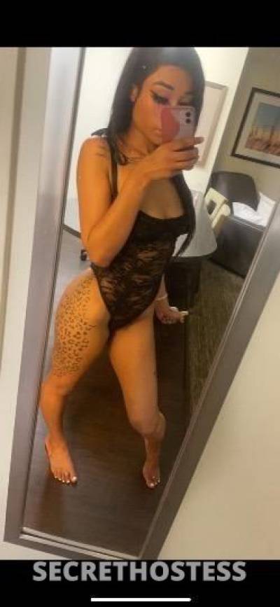 26Yrs Old Escort San Antonio TX Image - 0