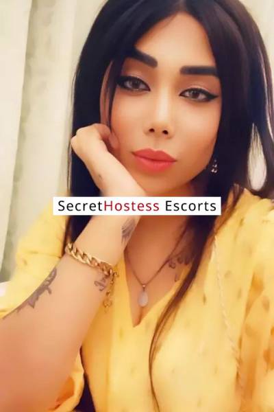 26Yrs Old Escort 58KG 169CM Tall Muscat Image - 3