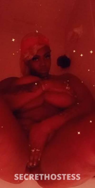 27Yrs Old Escort Dallas TX Image - 0