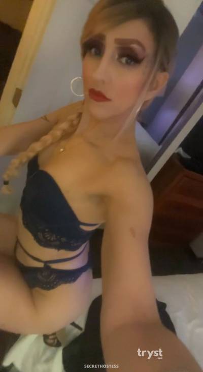 30Yrs Old Escort Size 8 San Antonio TX Image - 3