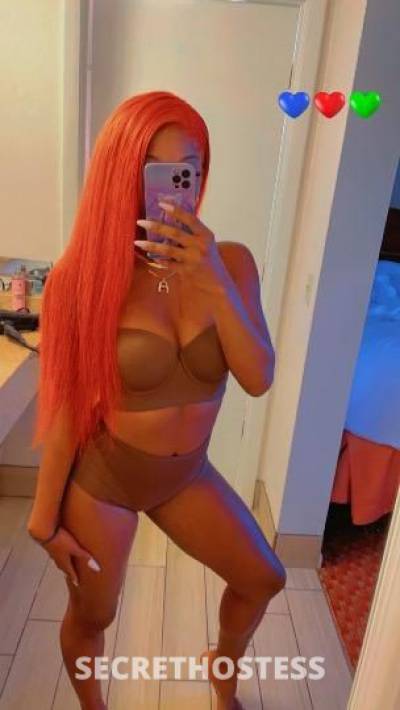 AlexisCream💦💞 27Yrs Old Escort Fort Lauderdale FL Image - 2