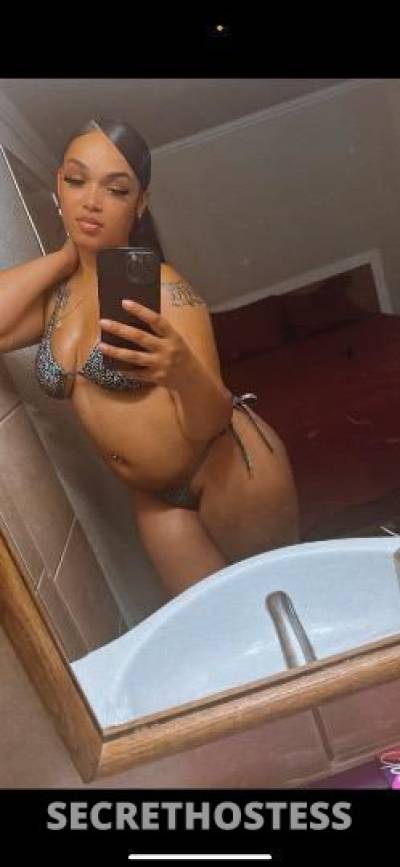 Amaya 23Yrs Old Escort Los Angeles CA Image - 1