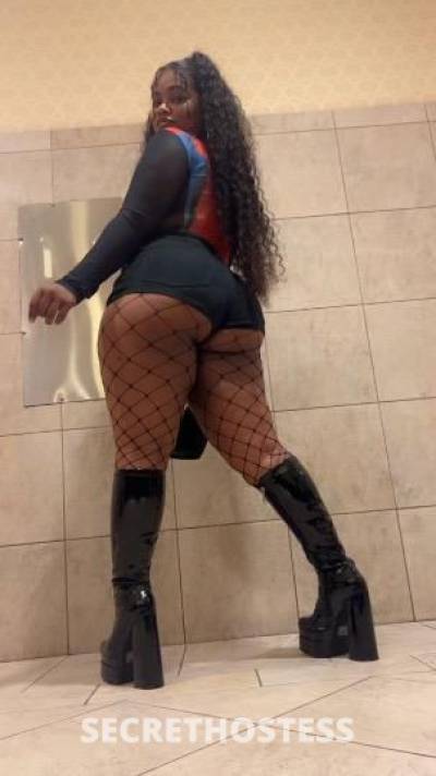 Ashlee 27Yrs Old Escort South Jersey NJ Image - 0