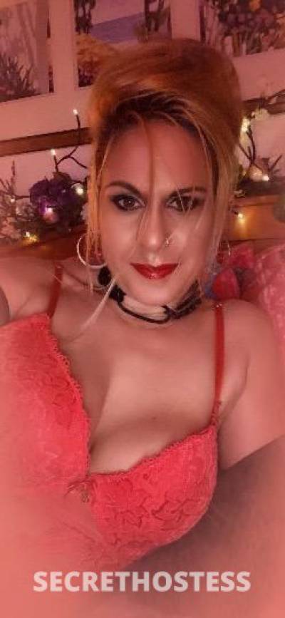 Bailey 44Yrs Old Escort Santa Barbara CA Image - 2