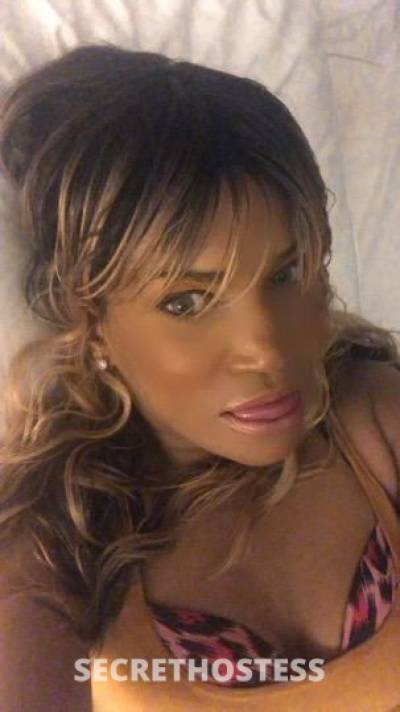 Barbie 28Yrs Old Escort Providence RI Image - 3