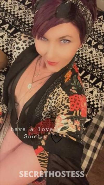 Bree 31Yrs Old Escort Denver CO Image - 1
