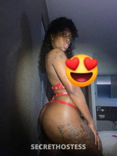 Chocolstekitty 26Yrs Old Escort Clarksville TN Image - 2