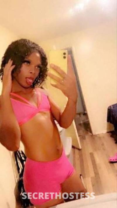 Dede 23Yrs Old Escort Rochester NY Image - 1