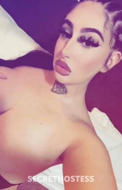24 year old Escort in Palm Springs CA lets have fun . ❤ 100 incall qv feb only ❤ last day here