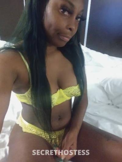 Faith 23Yrs Old Escort Houston TX Image - 1