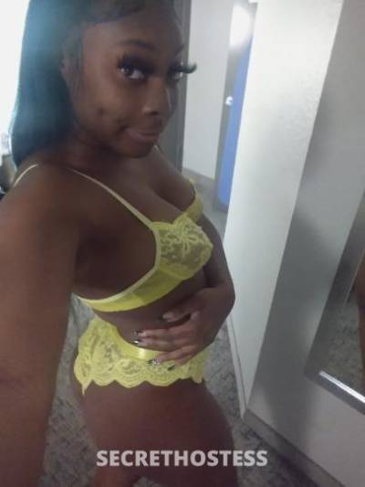 Faith 23Yrs Old Escort Houston TX Image - 5