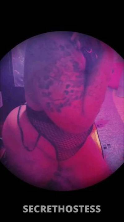 FluffyKumKitten 29Yrs Old Escort Houston TX Image - 5